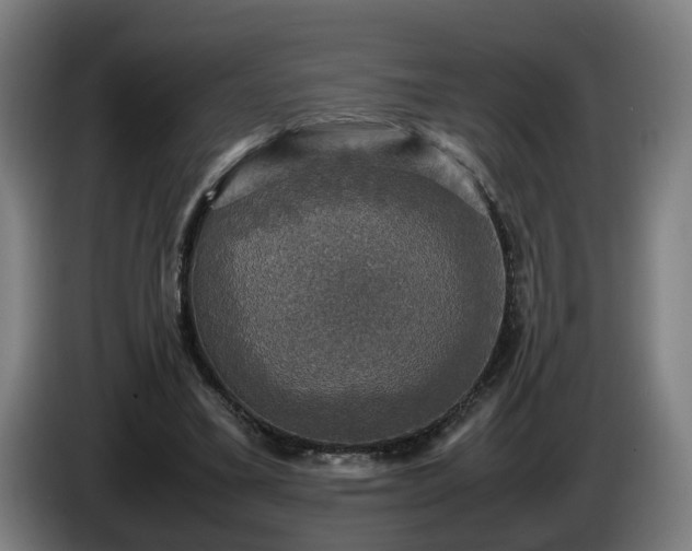 X0000086760395200704201749