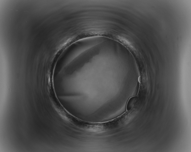 X0000086760398200704201749
