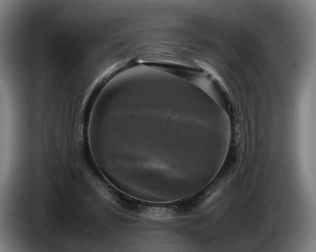X0000086760399200704201749