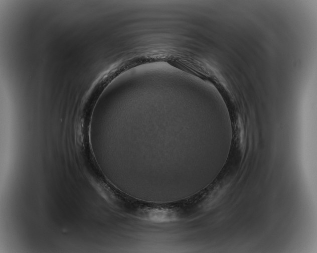 X0000086760400200704201749
