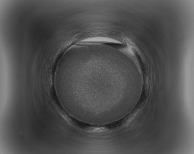 X0000086760401200704201749