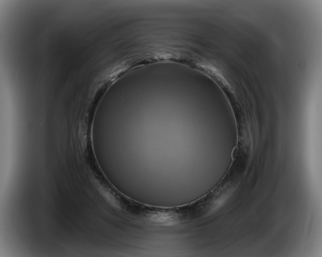 X0000086760402200704201749