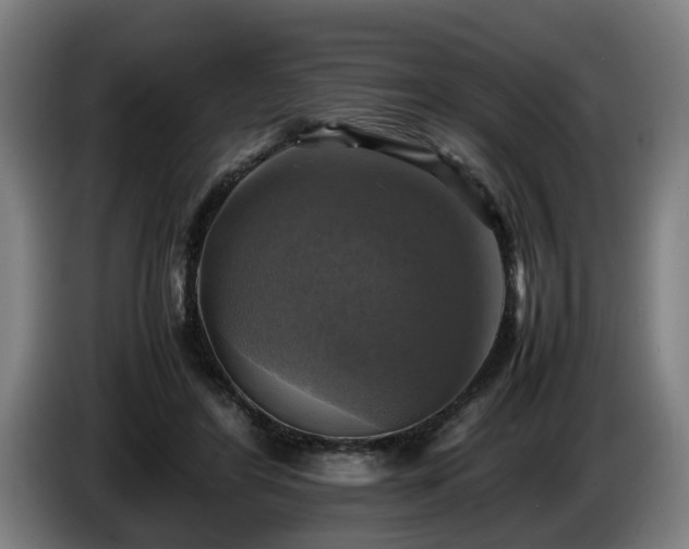 X0000086760404200704201749