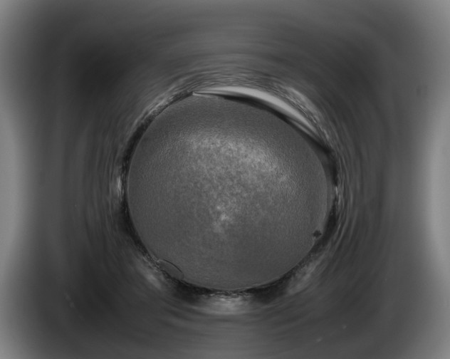 X0000086760405200704201749
