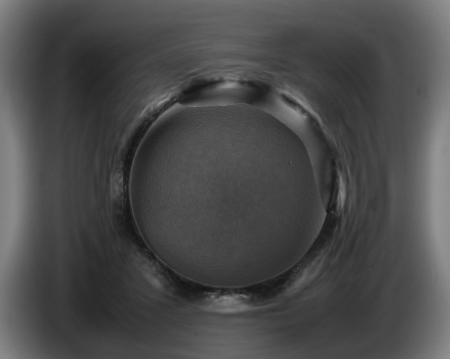 X0000086760407200704201749