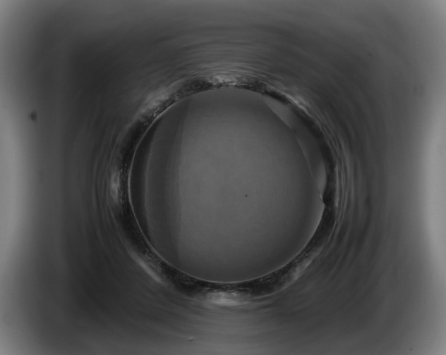 X0000086760408200704201749