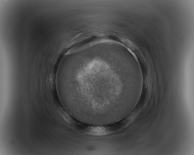 X0000086760409200704201749