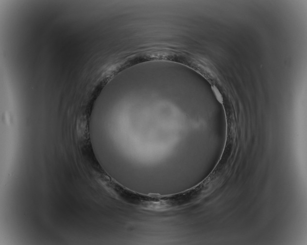 X0000086760411200704201749