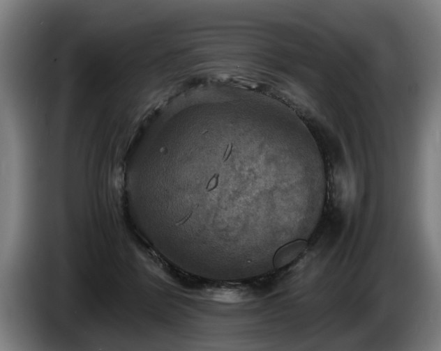 X0000086760412200704201749