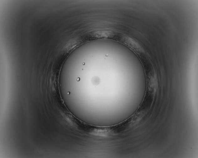 X0000086760414200704201749