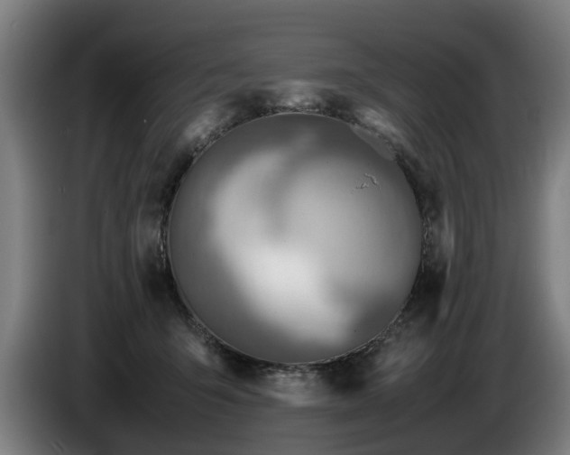 X0000086760415200704201749