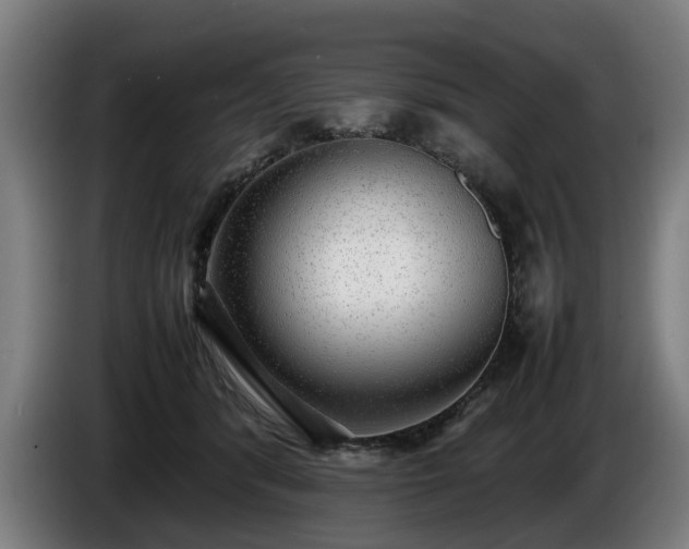 X0000086760416200704201749