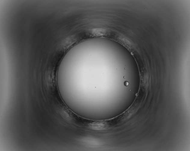 X0000086760418200704201749
