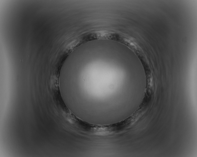 X0000086760419200704201749