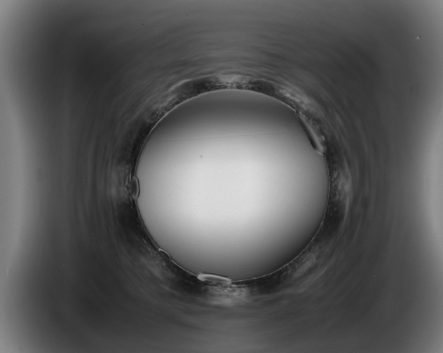 X0000086760421200704201749
