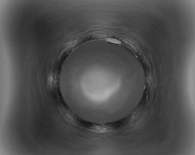 X0000086760423200704201749