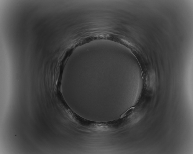 X0000086760424200704201749