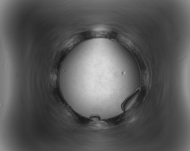 X0000086760427200704201749