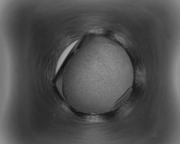 X0000086760428200704201749