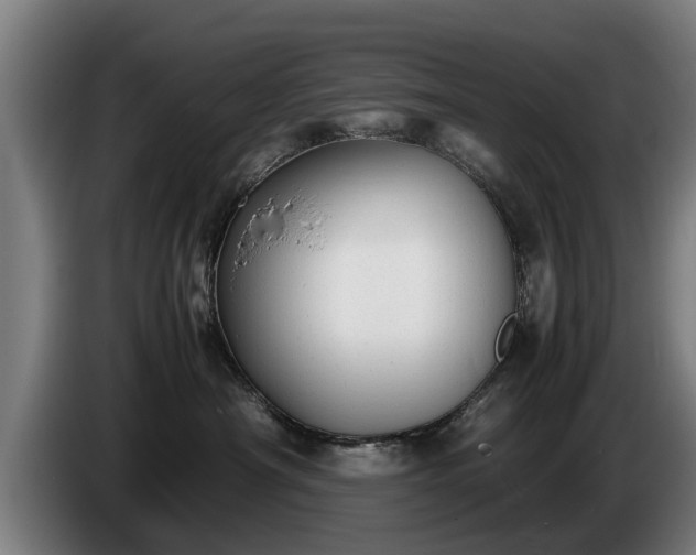 X0000086760430200704201749