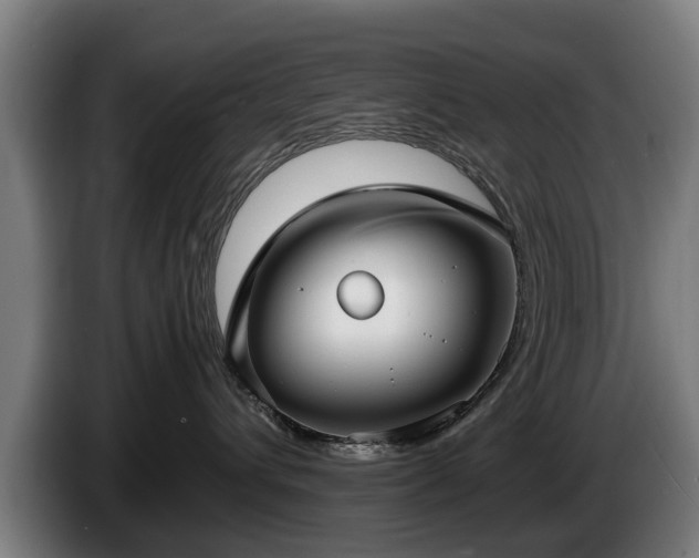 X0000086760432200704201749