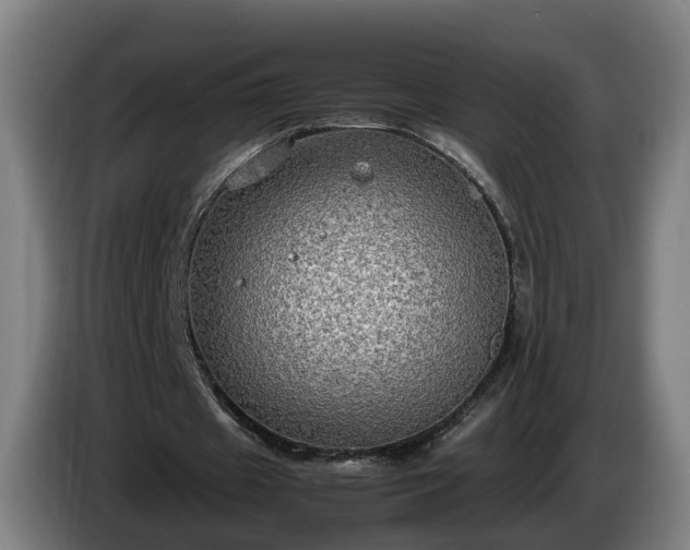 X0000086760433200704201748