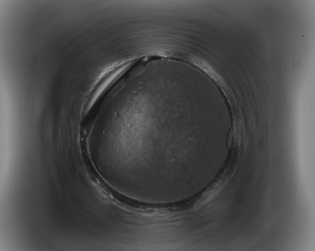 X0000086760434200704201748