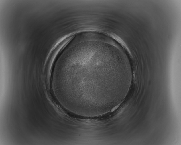 X0000086760436200704201748