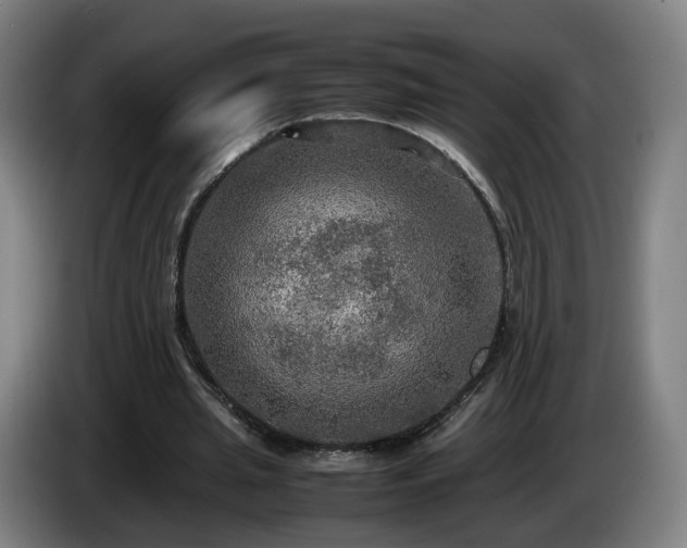 X0000086760437200704201748