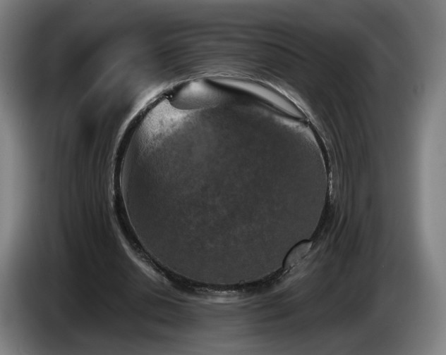 X0000086760438200704201748