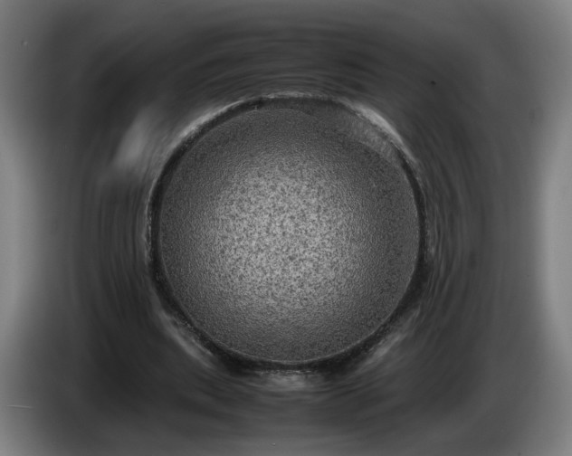 X0000086760439200704201748