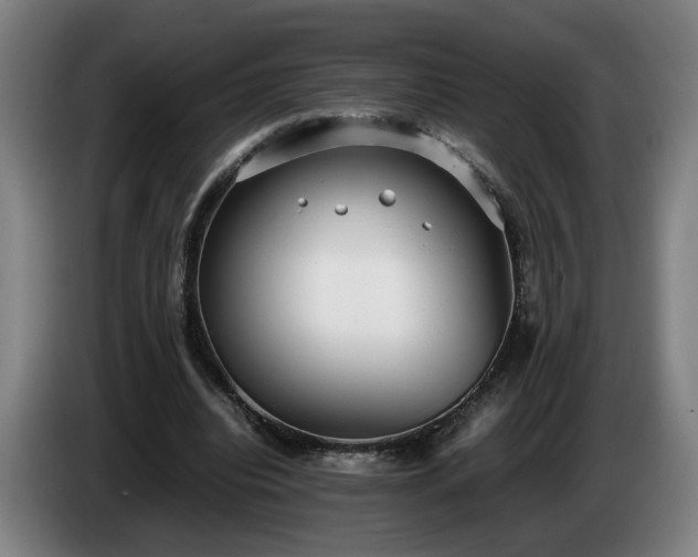 X0000086760440200704201748