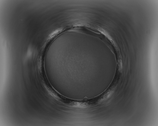 X0000086760442200704201748