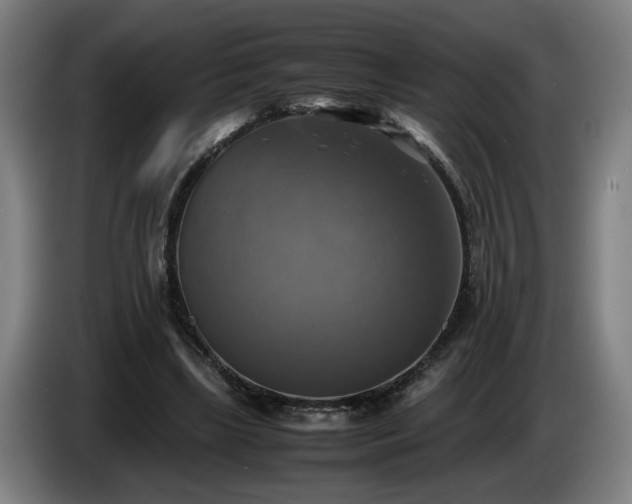 X0000086760443200704201748