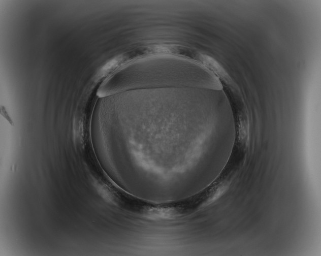 X0000086760444200704201748
