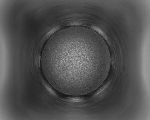 X0000086760445200704201748