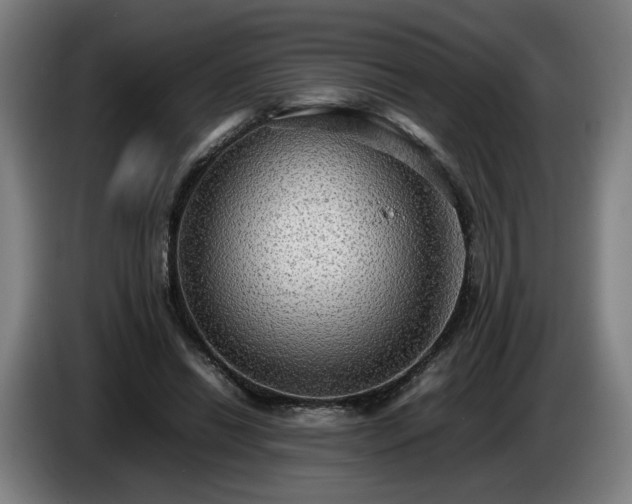 X0000086760446200704201748