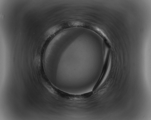 X0000086760447200704201748
