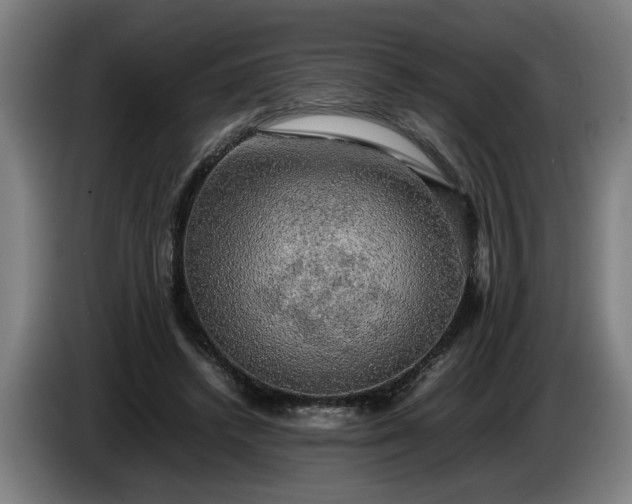 X0000086760448200704201748