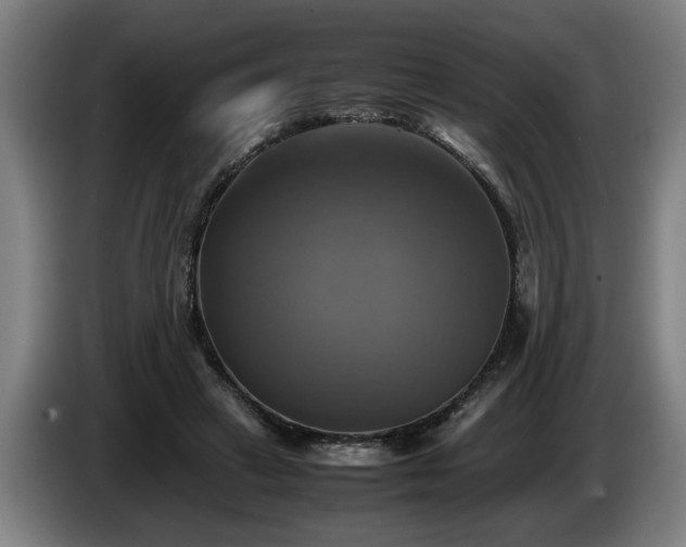 X0000086760449200704201748