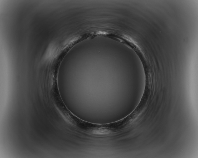 X0000086760451200704201748