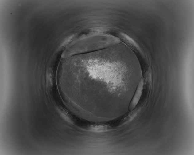 X0000086760452200704201748