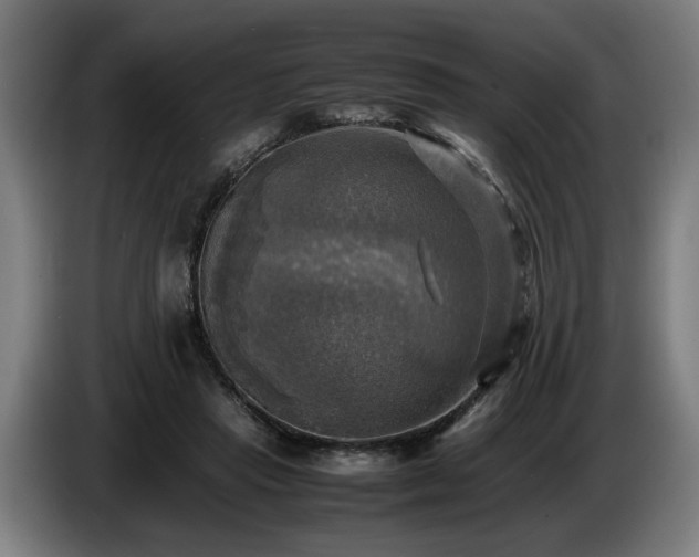 X0000086760453200704201748