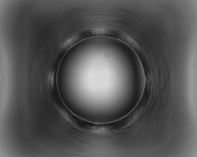 X0000086760454200704201748