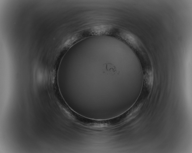 X0000086760458200704201748