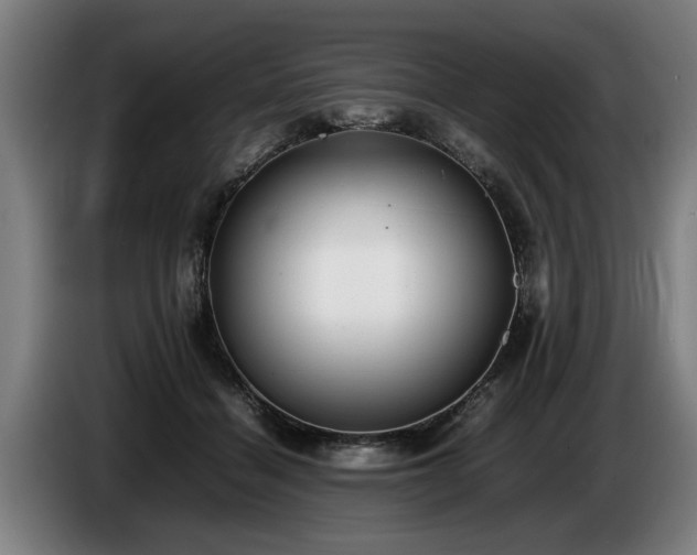 X0000086760460200704201748
