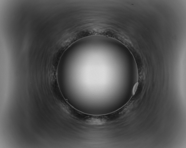 X0000086760464200704201748