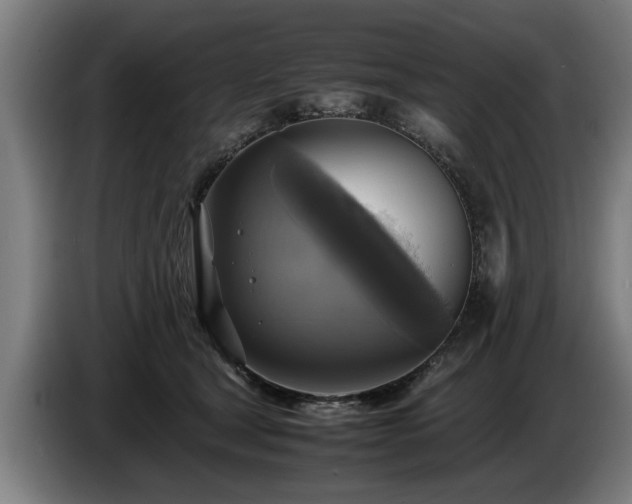 X0000086760465200704201748
