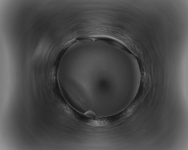 X0000086760466200704201748