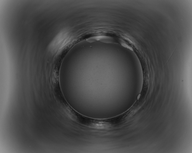 X0000086760467200704201748